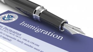 Immigration Firms