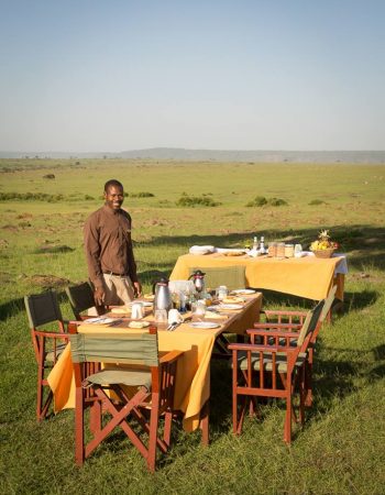 Elephant Pepper Camp