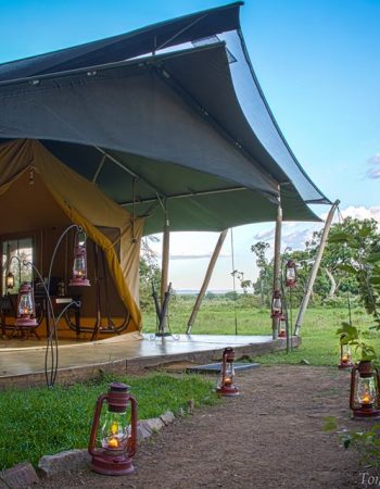 Elephant Pepper Camp