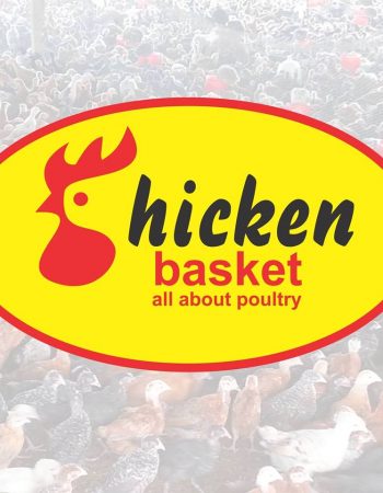 Chicken Basket